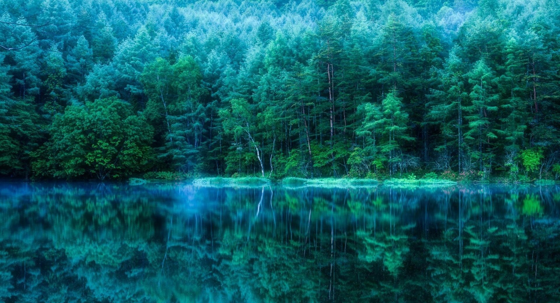 Japan Pond Forest at 750 x 1334 iPhone 6 size wallpapers HD quality