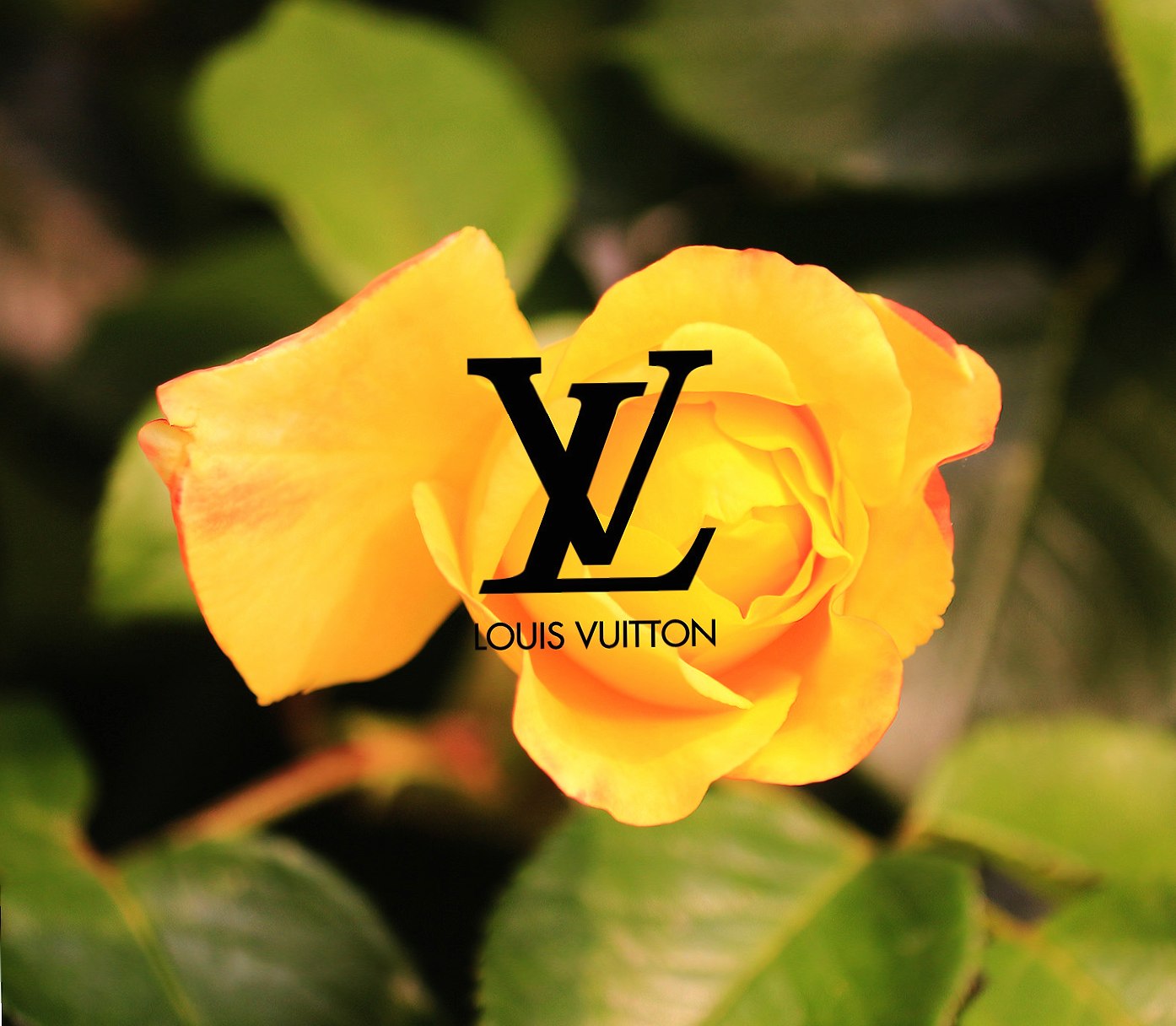 Louis Vuitton wallpapers HD quality