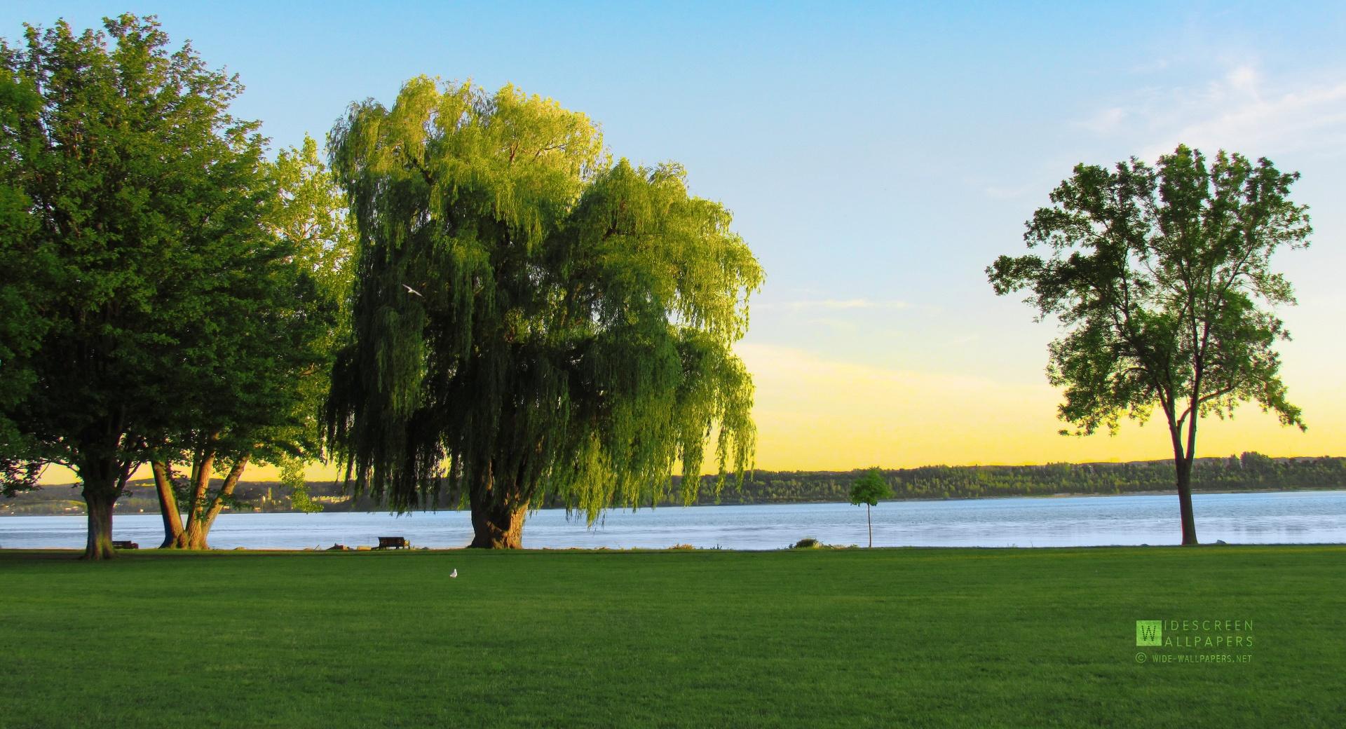 Onondaga Lake, Liverpool NY at 750 x 1334 iPhone 6 size wallpapers HD quality