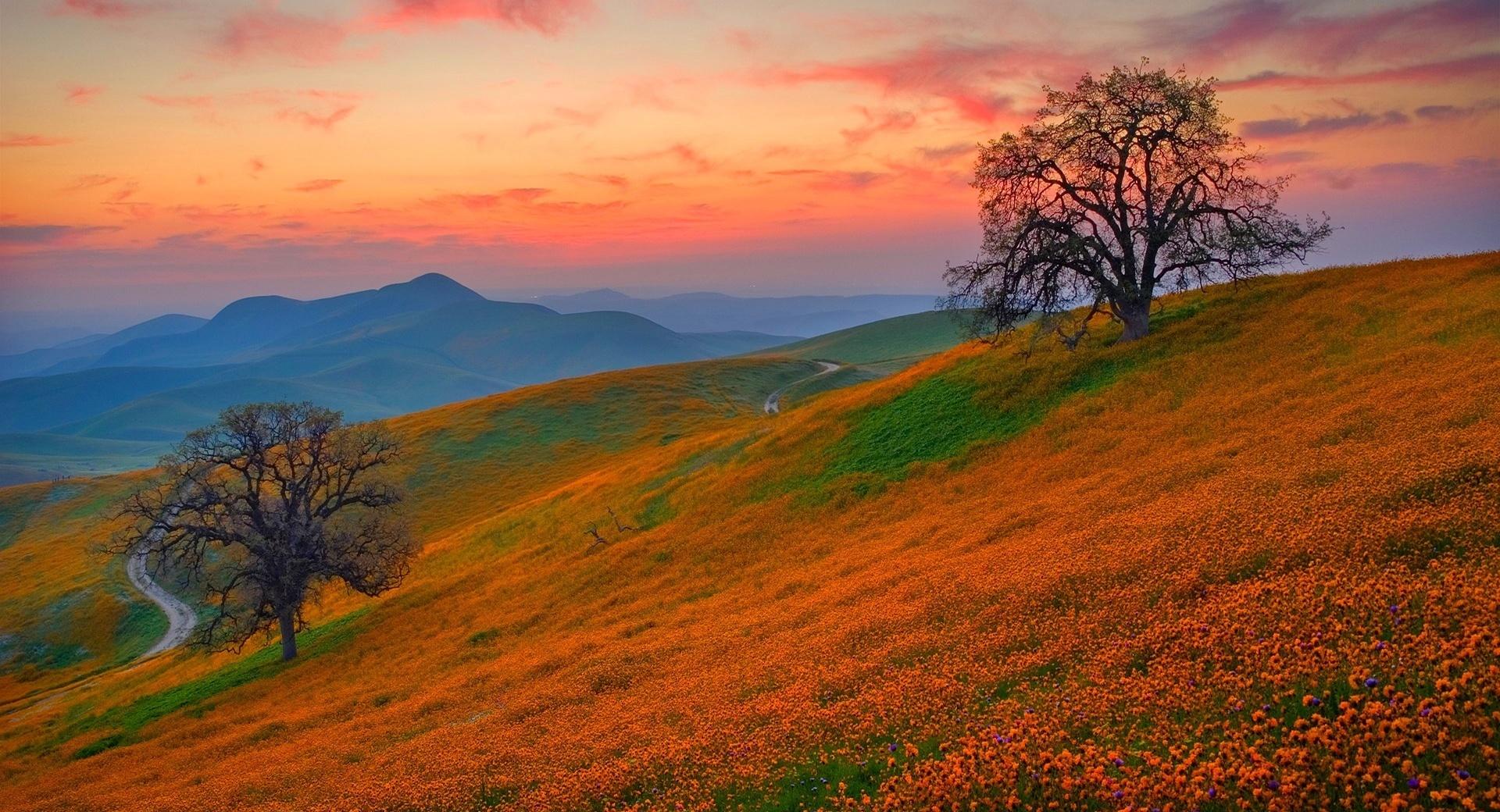 Orange Slope at 1280 x 720 HD size wallpapers HD quality