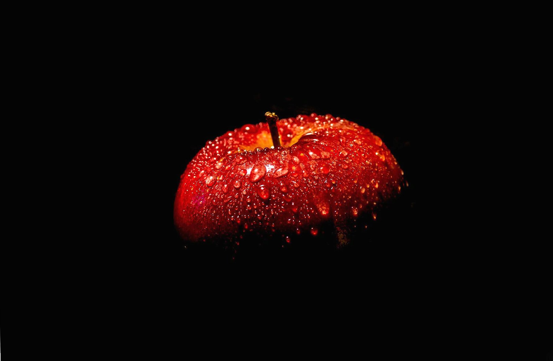 Red apple at 1600 x 1200 size wallpapers HD quality