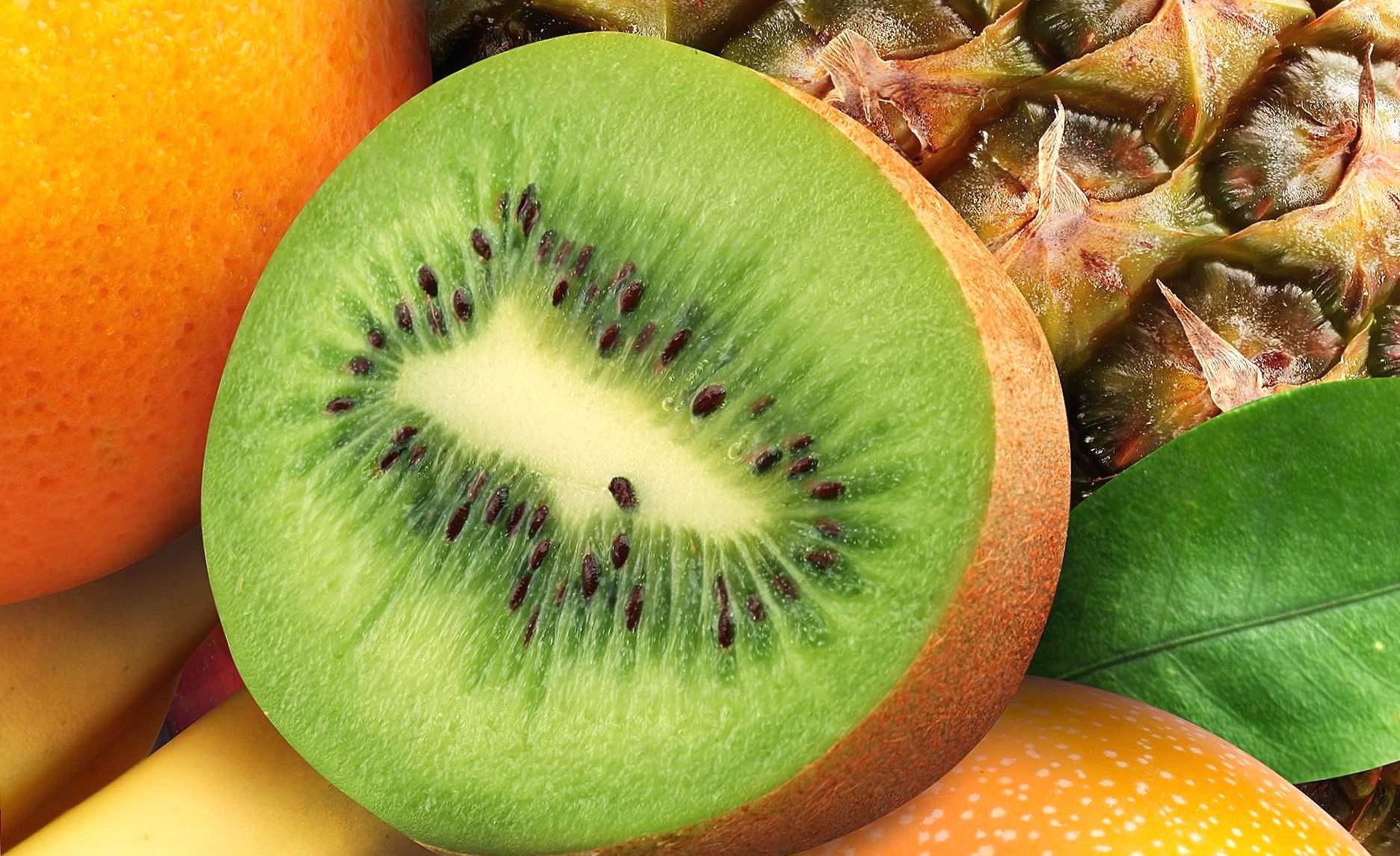 Sliced kiwi at 1152 x 864 size wallpapers HD quality