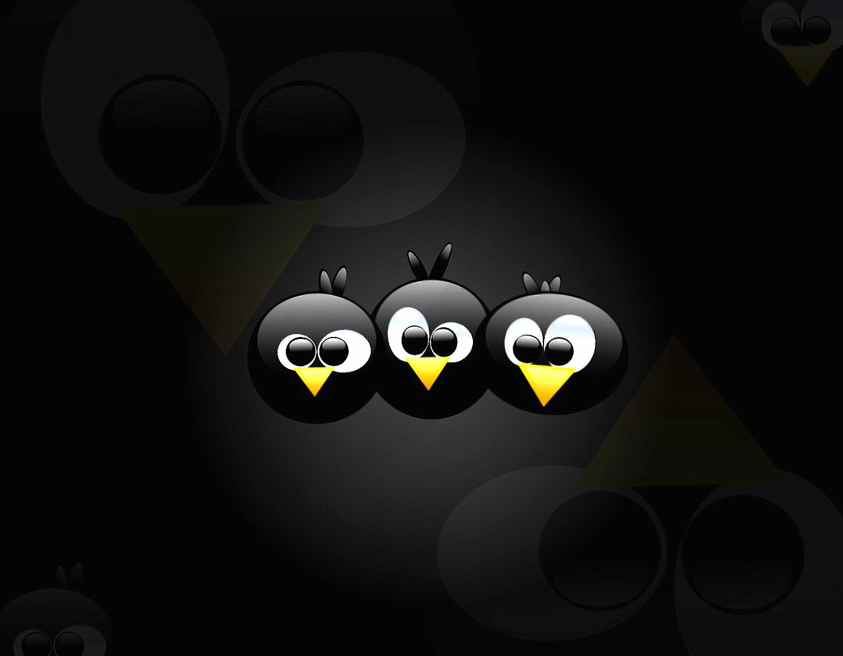 Three linux penguins at 640 x 1136 iPhone 5 size wallpapers HD quality
