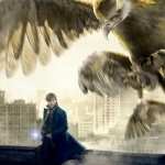 Fantastic Beasts And Where To Find Them wallpapers