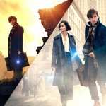 Fantastic Beasts And Where To Find Them download wallpaper