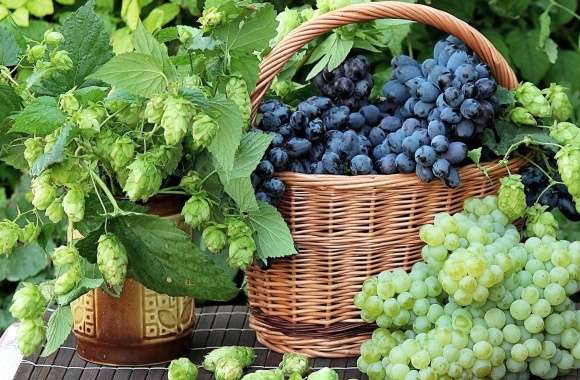 Black grapes in a straw basket