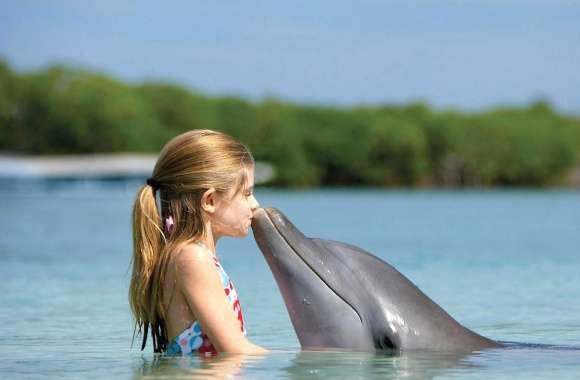 Funny kiss baby dolphin