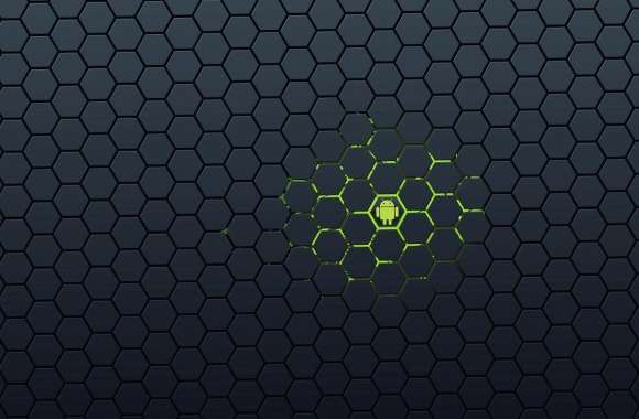 Hexagonal android