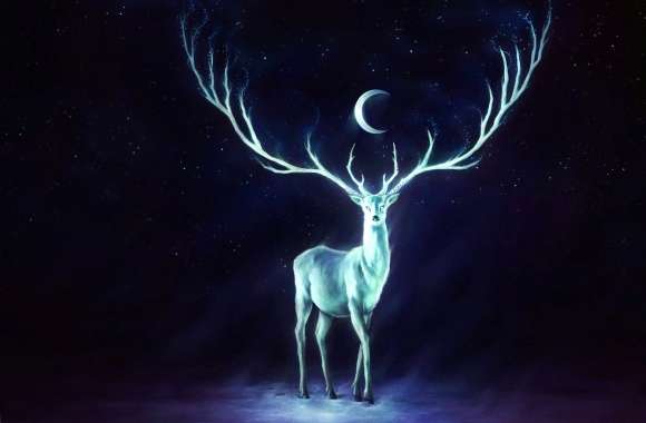 Night ligting deer wallpapers hd quality