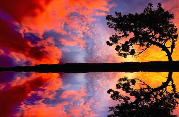 Perfect tree reflection
