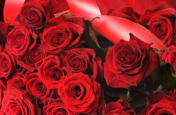Scarlet Roses With Ribbon