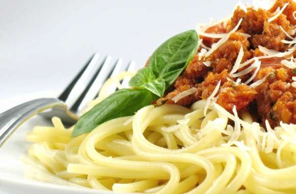 Spaghetti italian pasta