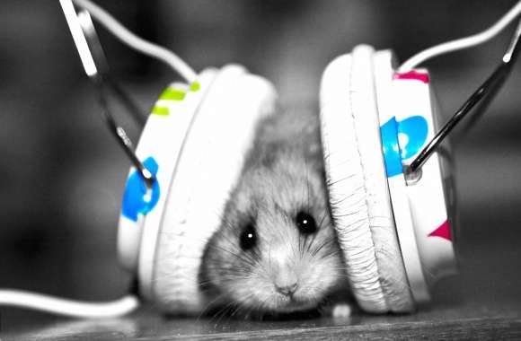 Weird music mouse wallpapers hd quality