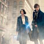 Fantastic Beasts And Where To Find Them hd