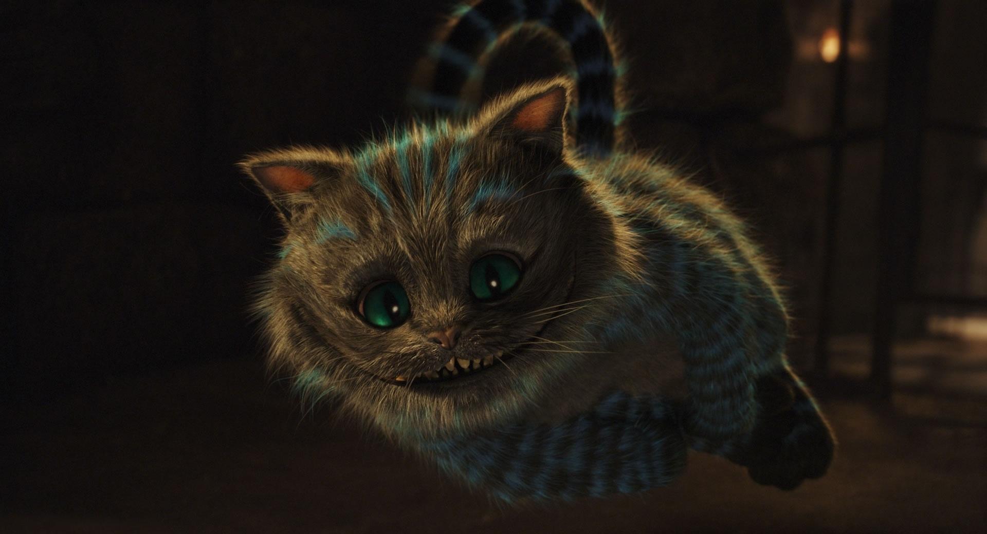 2010 Alice In Wonderland, Cheshire Cat at 2048 x 2048 iPad size wallpapers HD quality