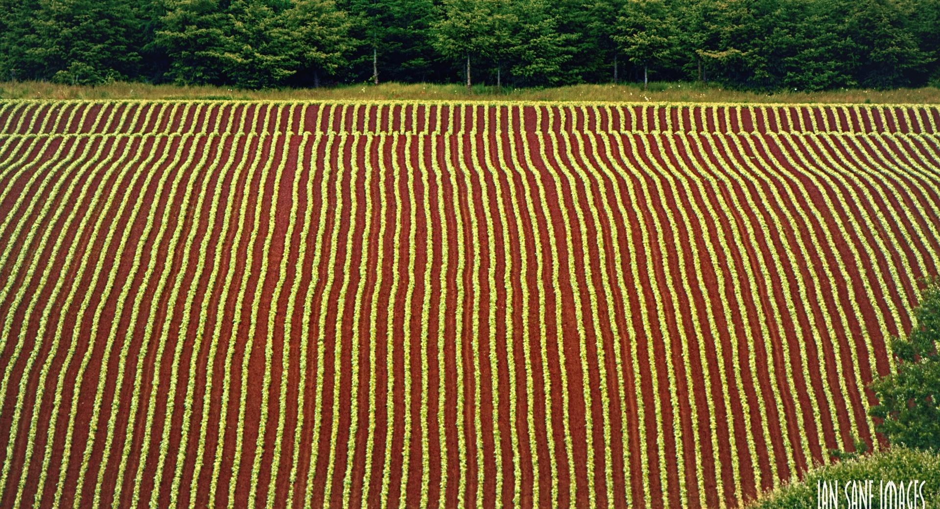 Agriculture wallpapers HD Agriculture wallpapers HD quality
