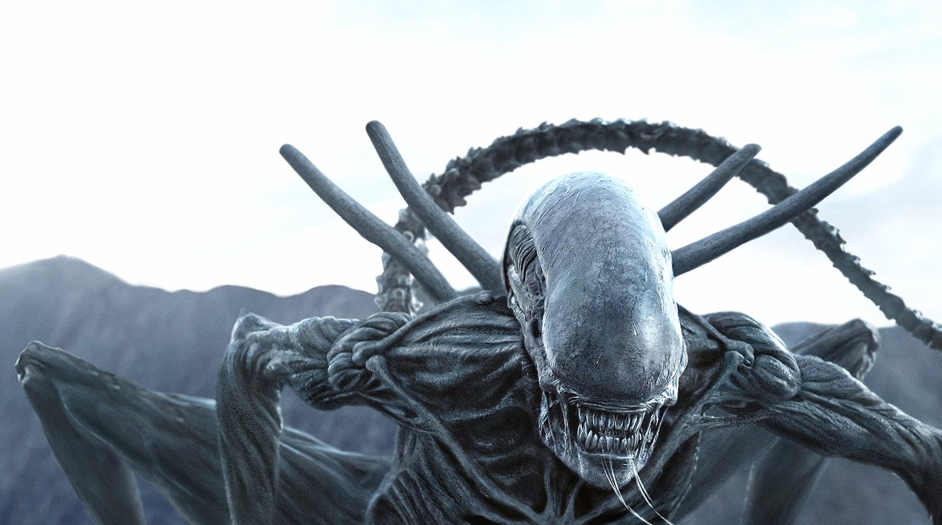 Alien Covenant wallpapers HD quality
