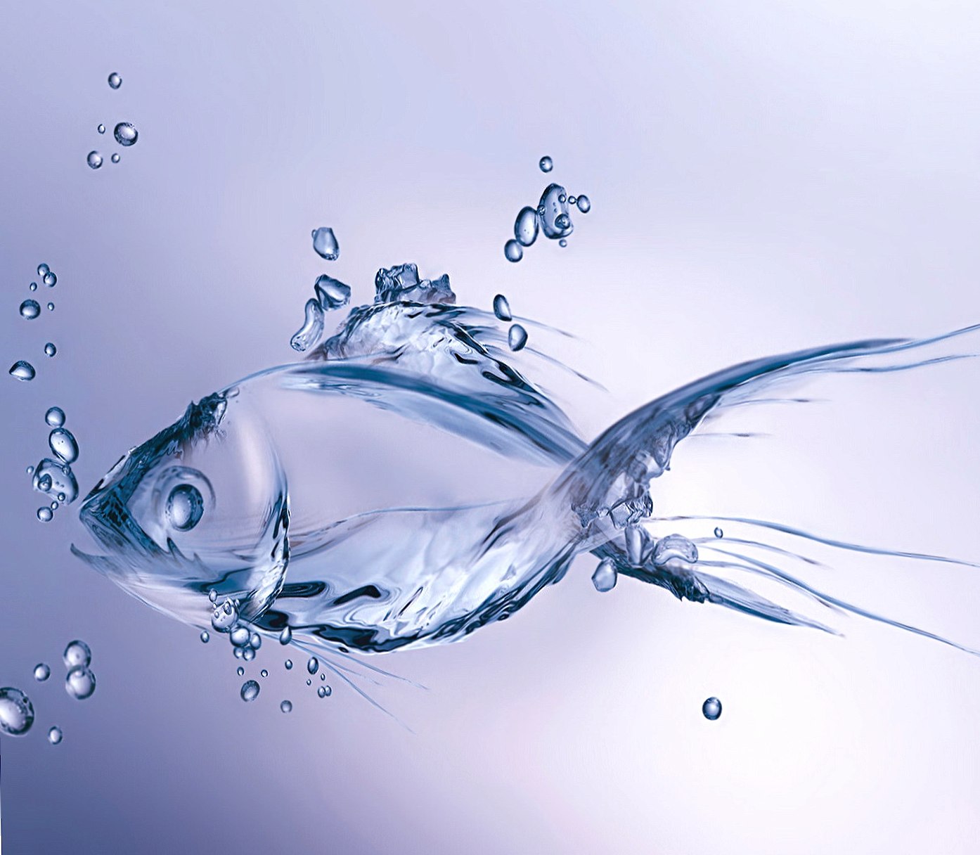 Animation Fish at 640 x 1136 iPhone 5 size wallpapers HD quality
