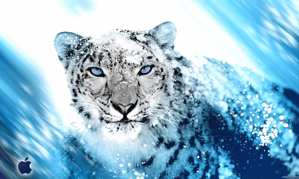 Apple leopard at 1600 x 1200 size wallpapers HD quality