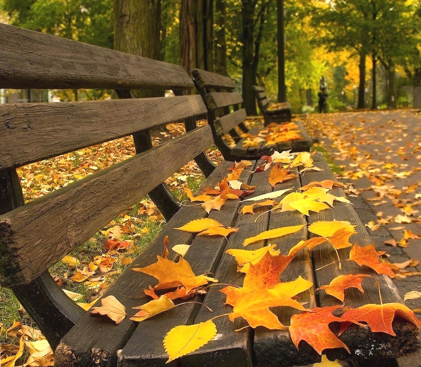 autumn bench at 320 x 480 iPhone size wallpapers HD quality
