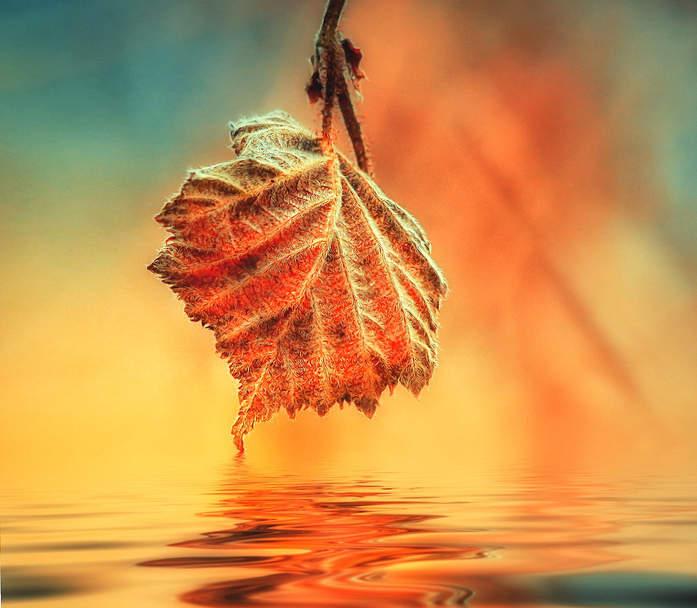 Autumn Leaf at 1152 x 864 size wallpapers HD quality