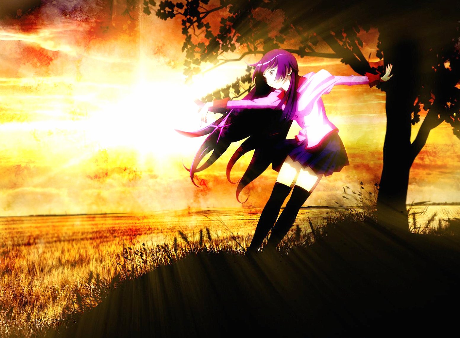 Bakemonogatari golden field anime at 750 x 1334 iPhone 6 size wallpapers HD quality