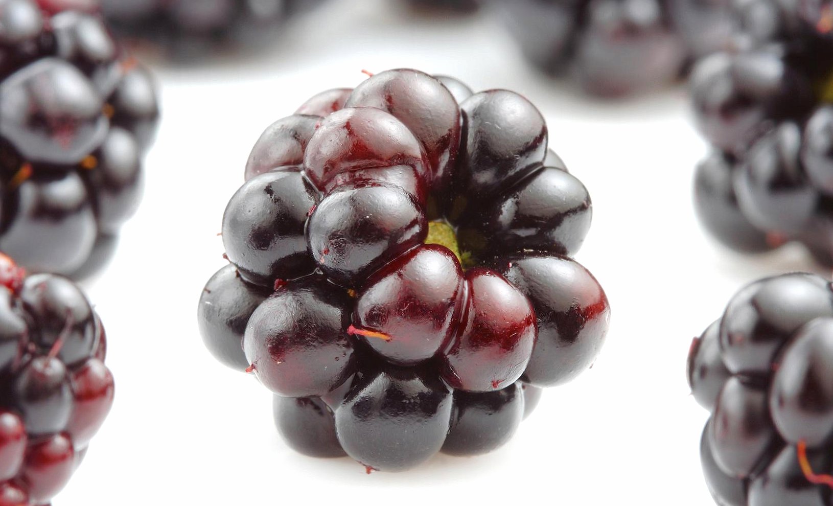Blackberry at 1024 x 1024 iPad size wallpapers HD quality