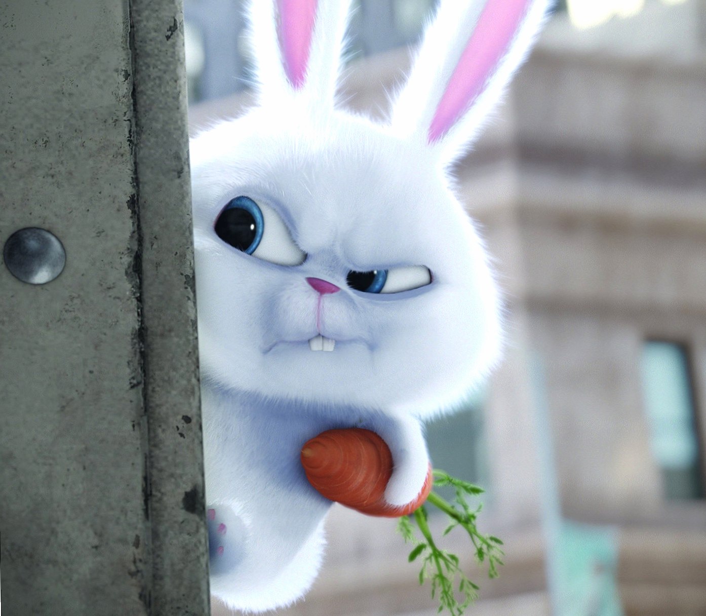 Bunny at 750 x 1334 iPhone 6 size wallpapers HD quality