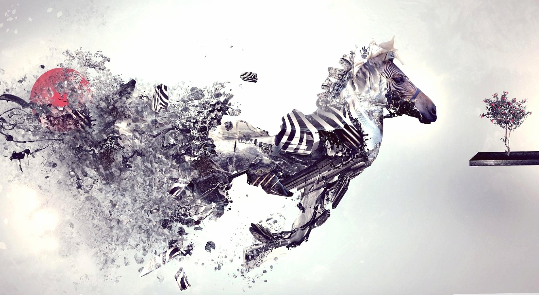 Explosion zebra abstract at 1280 x 960 size wallpapers HD quality