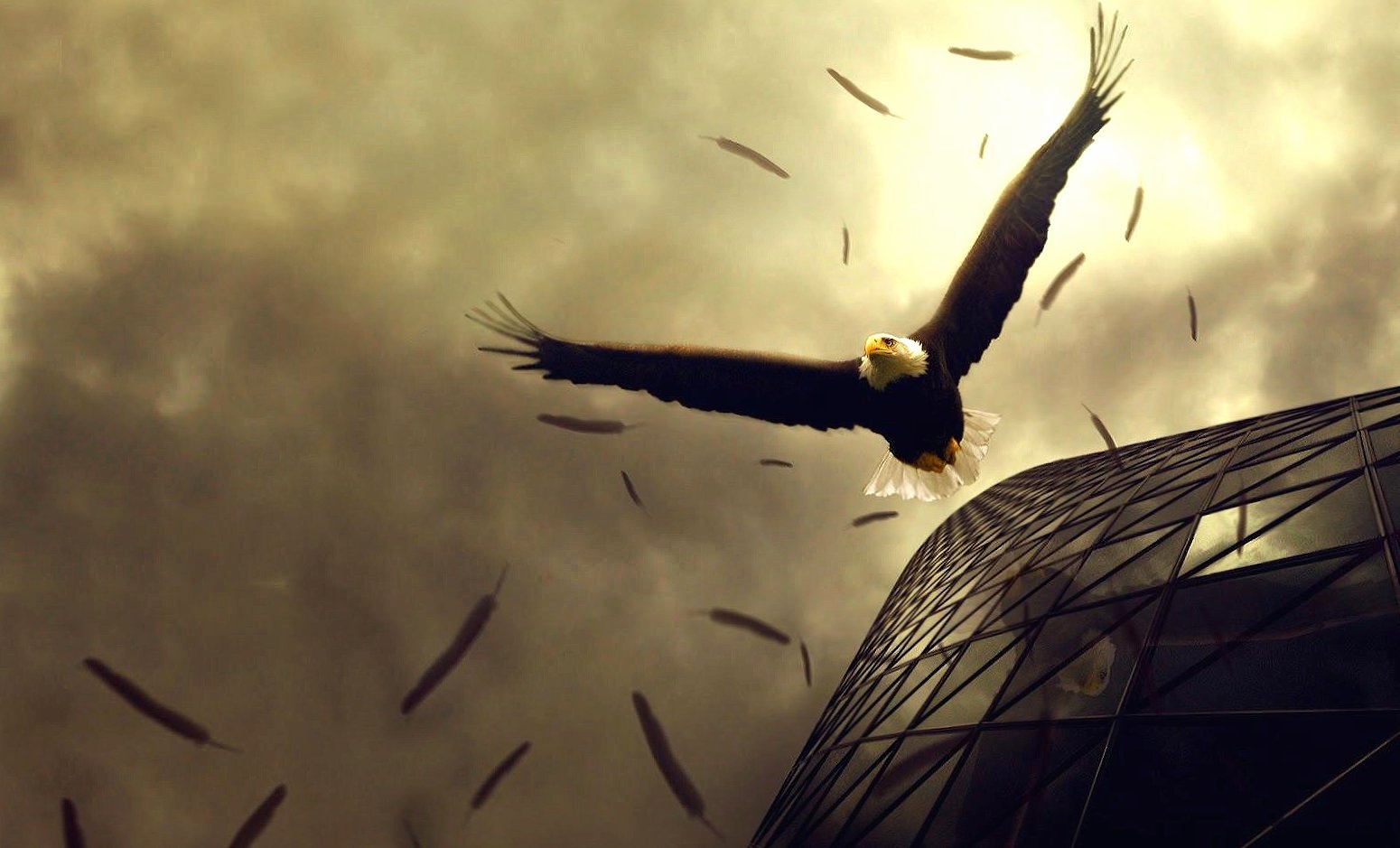Flying eagle at 750 x 1334 iPhone 6 size wallpapers HD quality
