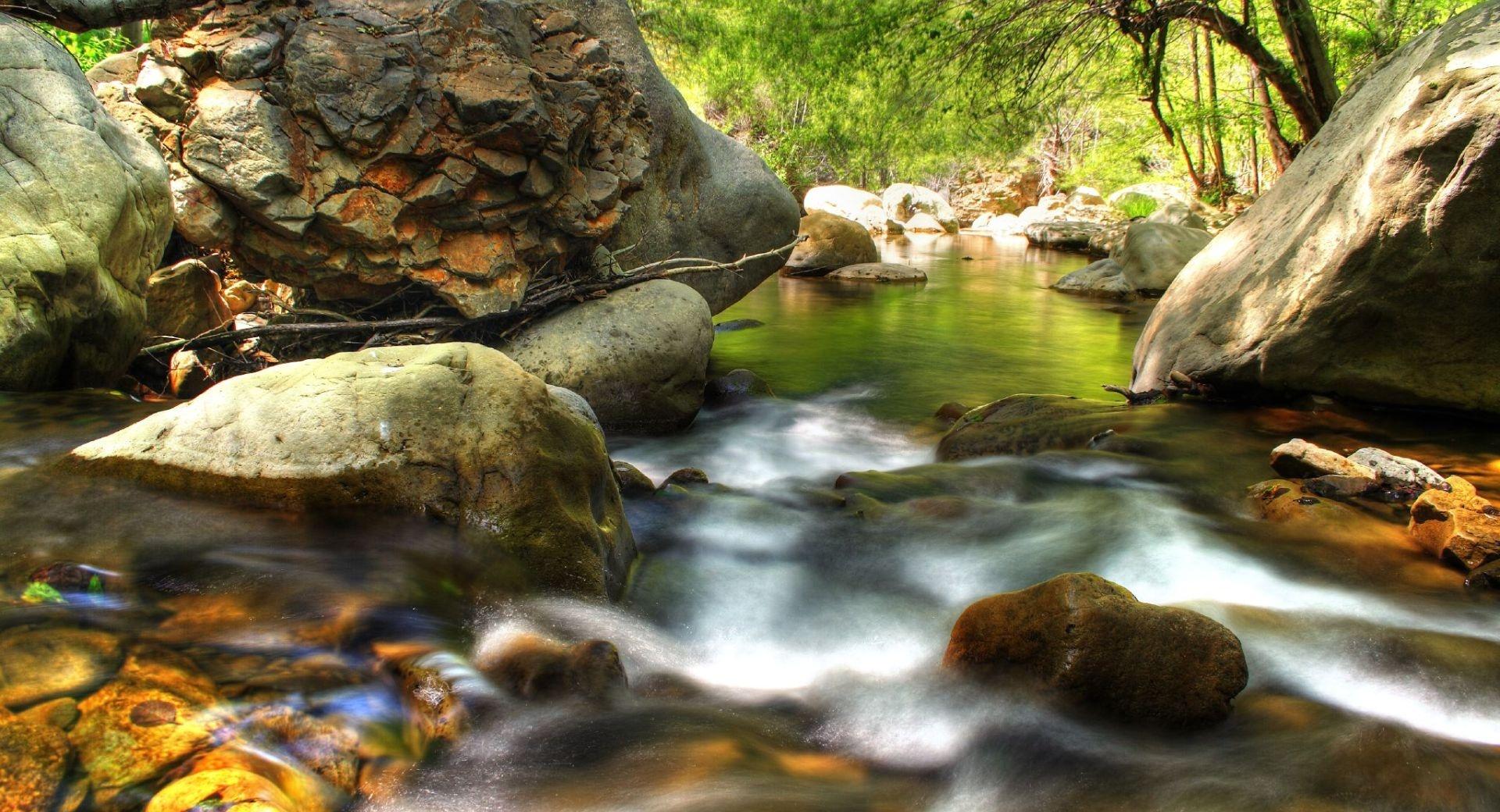 Forest Creek HDR at 640 x 960 iPhone 4 size wallpapers HD quality