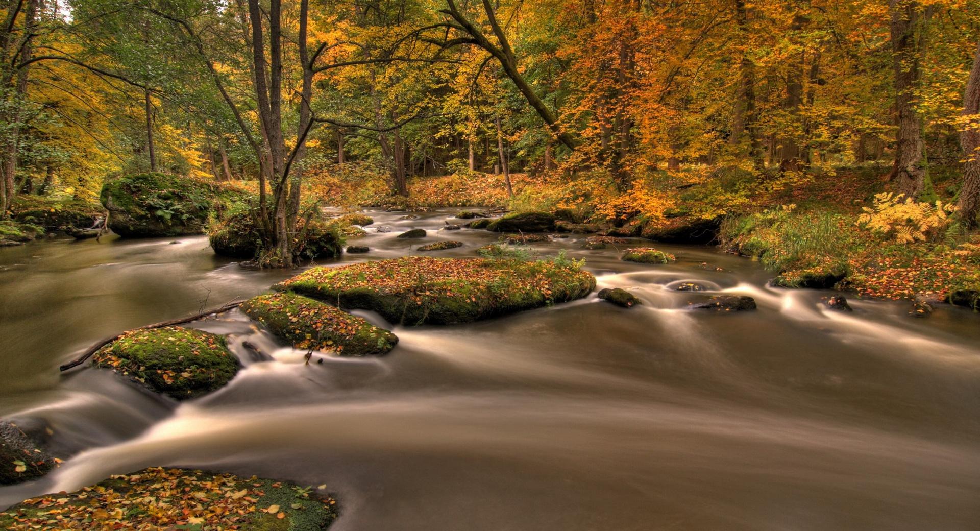 Forest River, Long Exposure at 640 x 1136 iPhone 5 size wallpapers HD quality