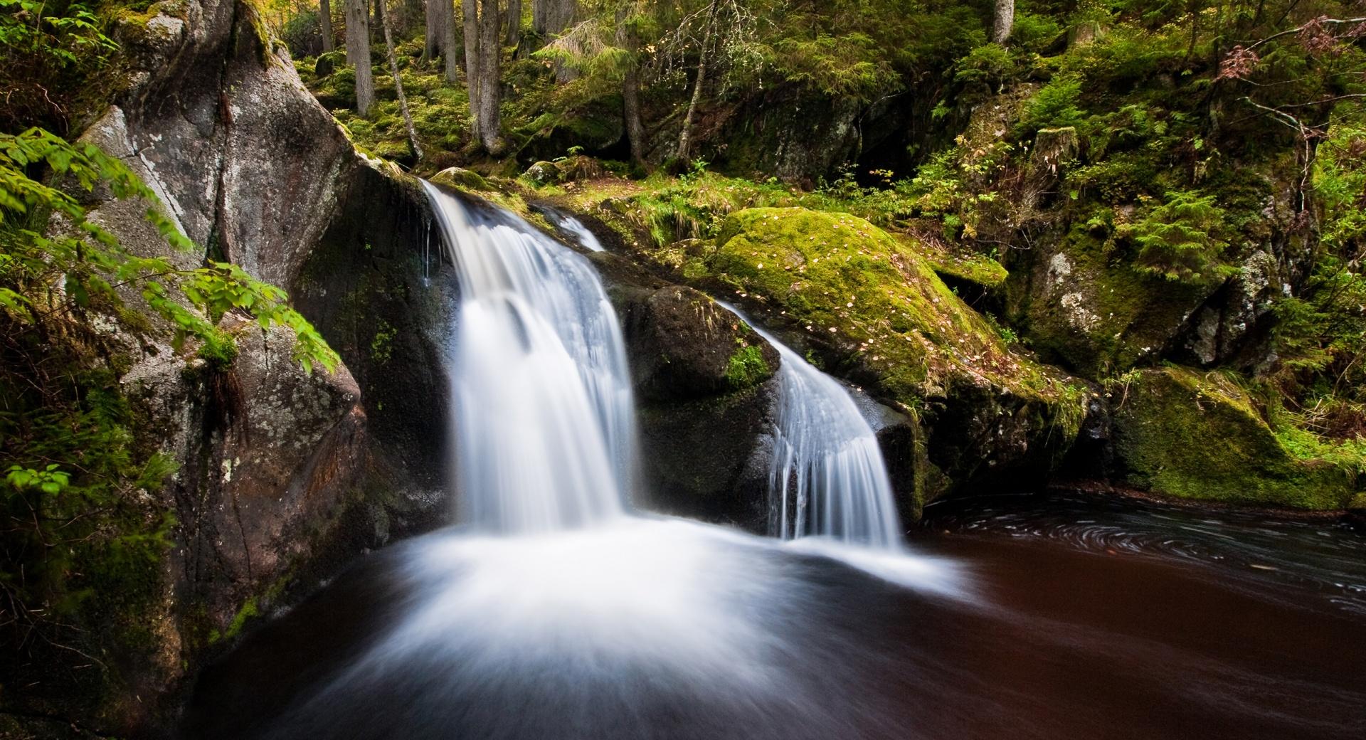 Forest Waterfall, Long Exposure at 1024 x 1024 iPad size wallpapers HD quality
