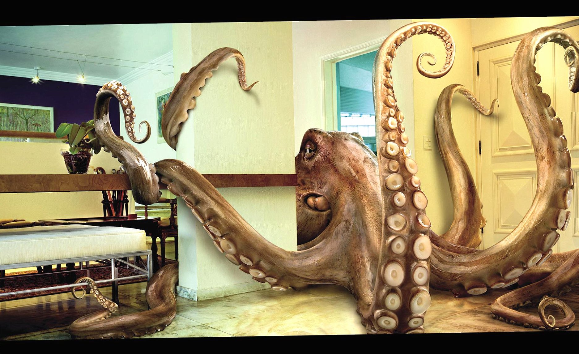 Funny octopus in living room at 1024 x 1024 iPad size wallpapers HD quality