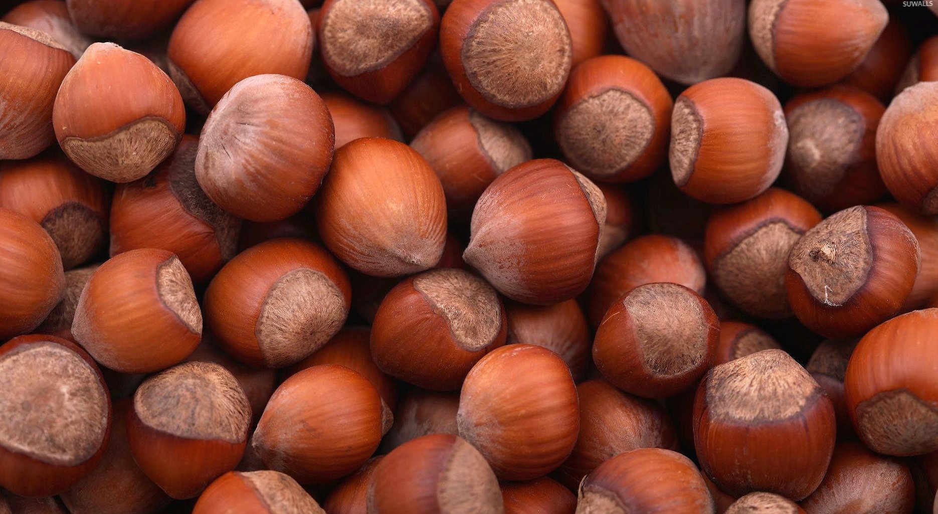 Hazelnuts piled up wallpapers HD quality