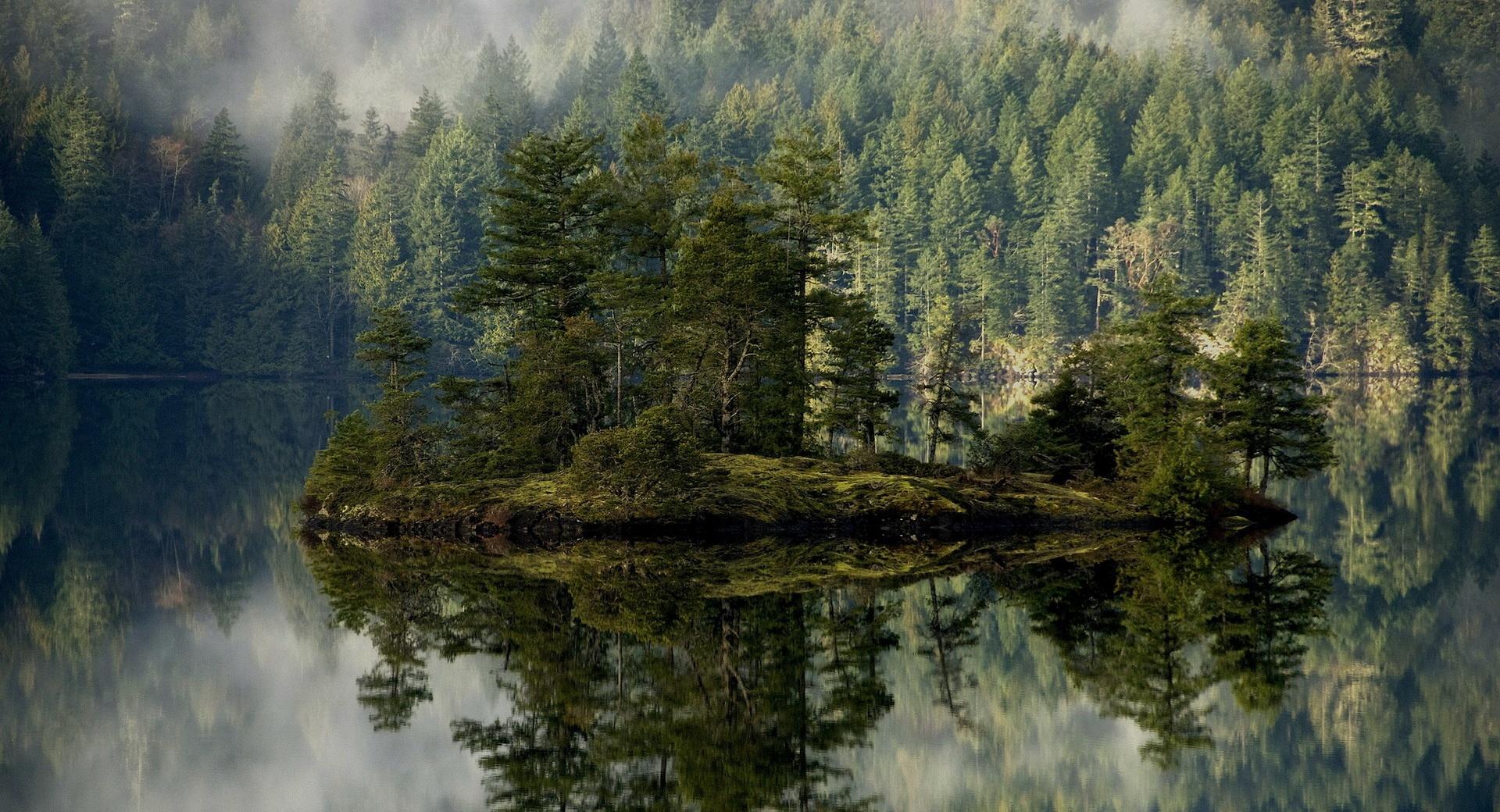 Island With Pines In The Lake at 750 x 1334 iPhone 6 size wallpapers HD quality