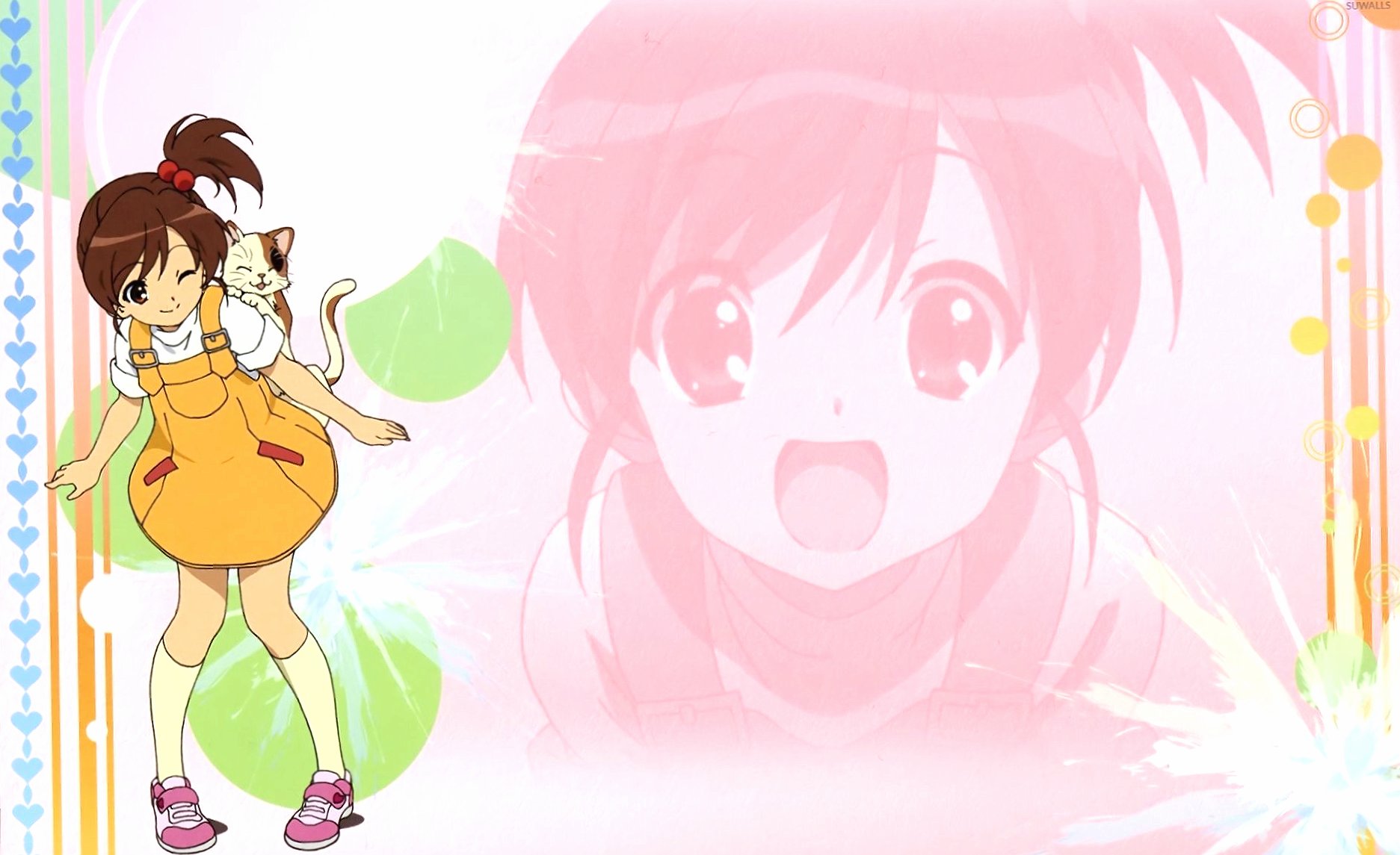 Kyons sister in The Melancholy of Haruhi Suzumiya wallpapers HD quality