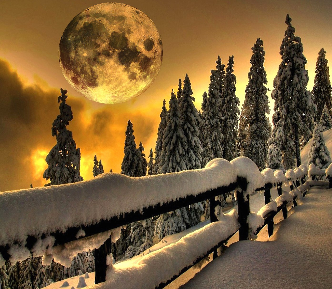 moon walkway at 640 x 1136 iPhone 5 size wallpapers HD quality