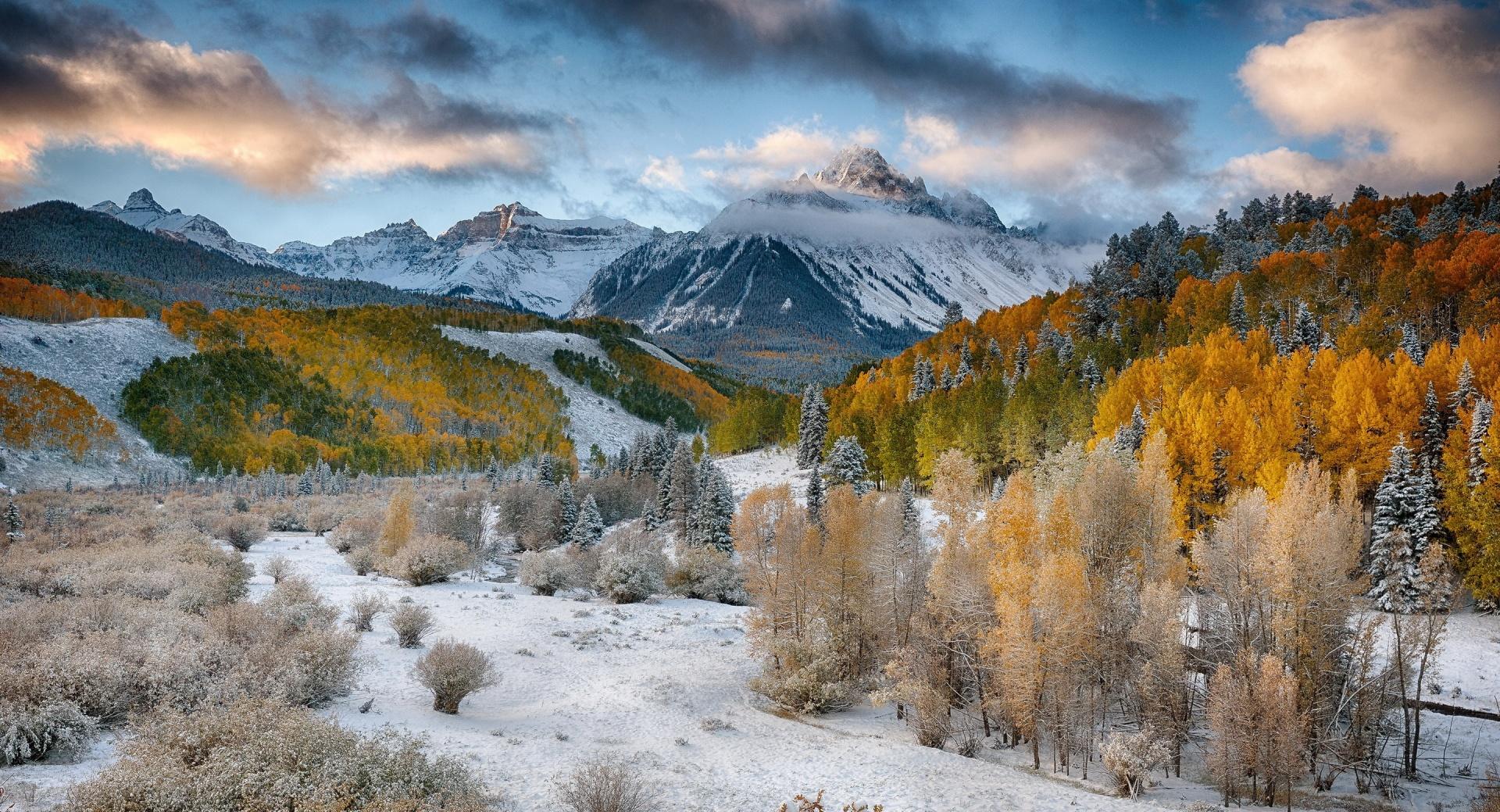 Mountains with Snow and Yellow Trees at 750 x 1334 iPhone 6 size wallpapers HD quality