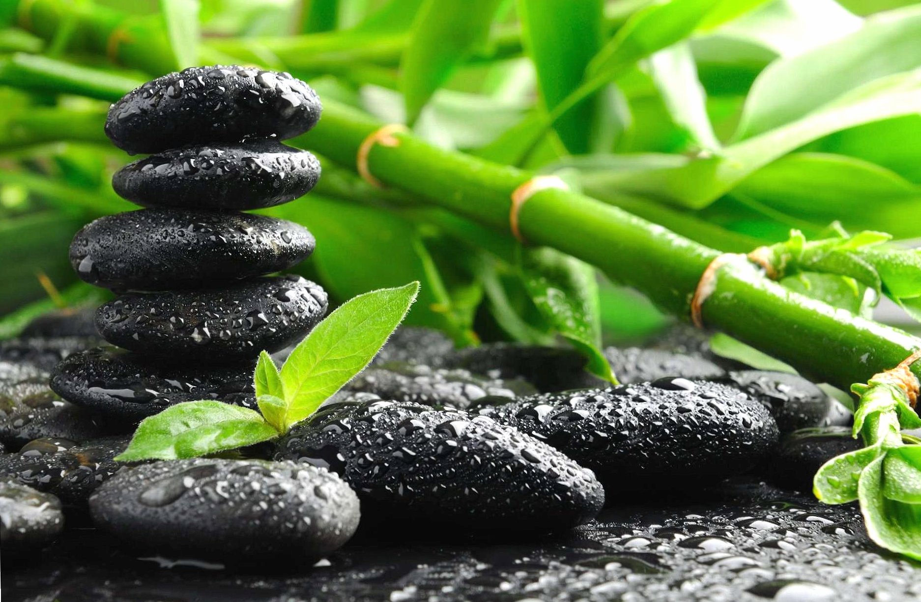 Nature and black stones at 640 x 1136 iPhone 5 size wallpapers HD quality