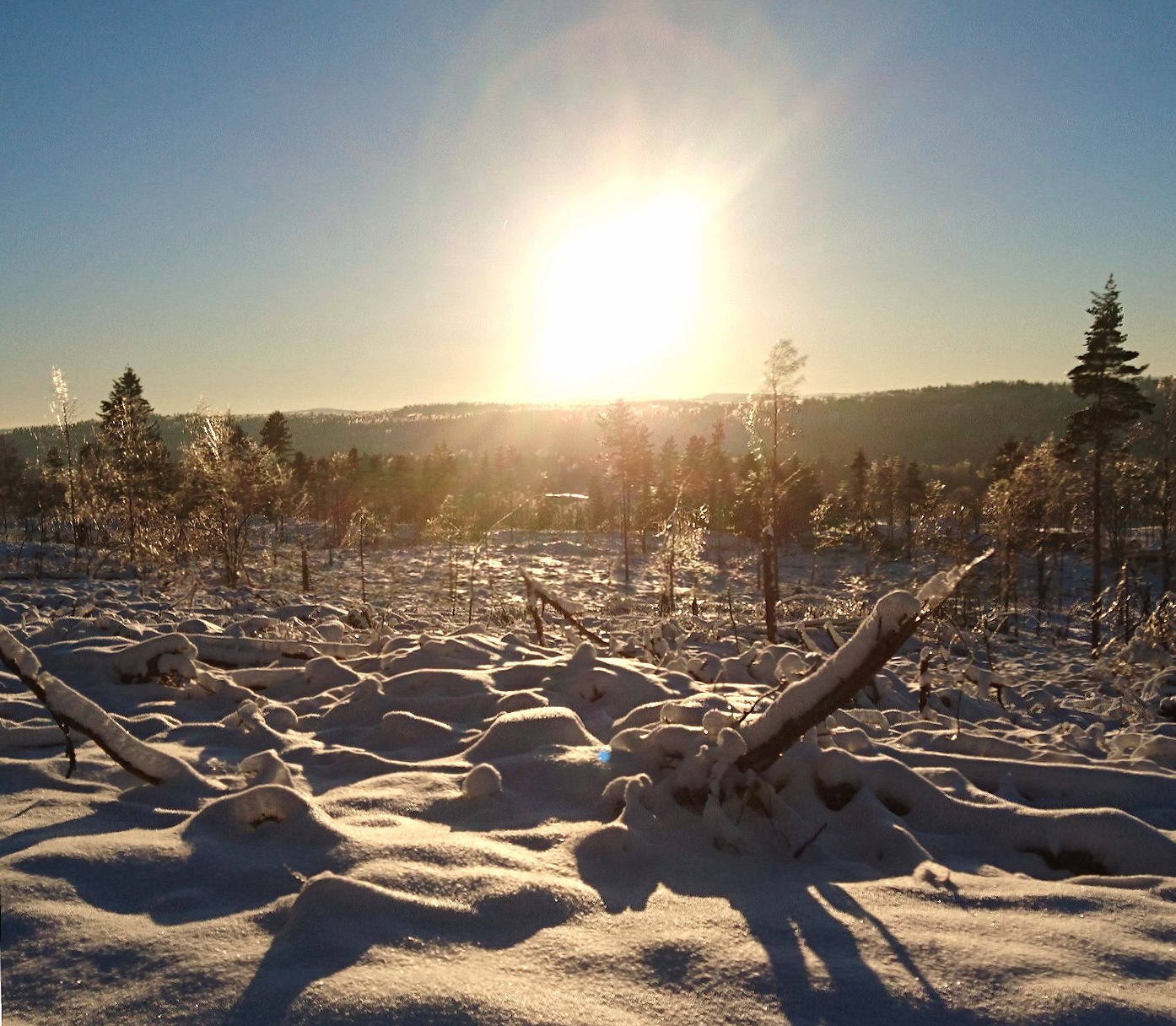 Norwegian winter at 640 x 1136 iPhone 5 size wallpapers HD quality