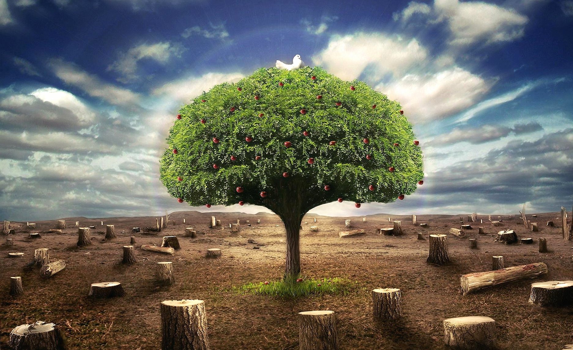 Only one tree digital art wallpapers HD quality