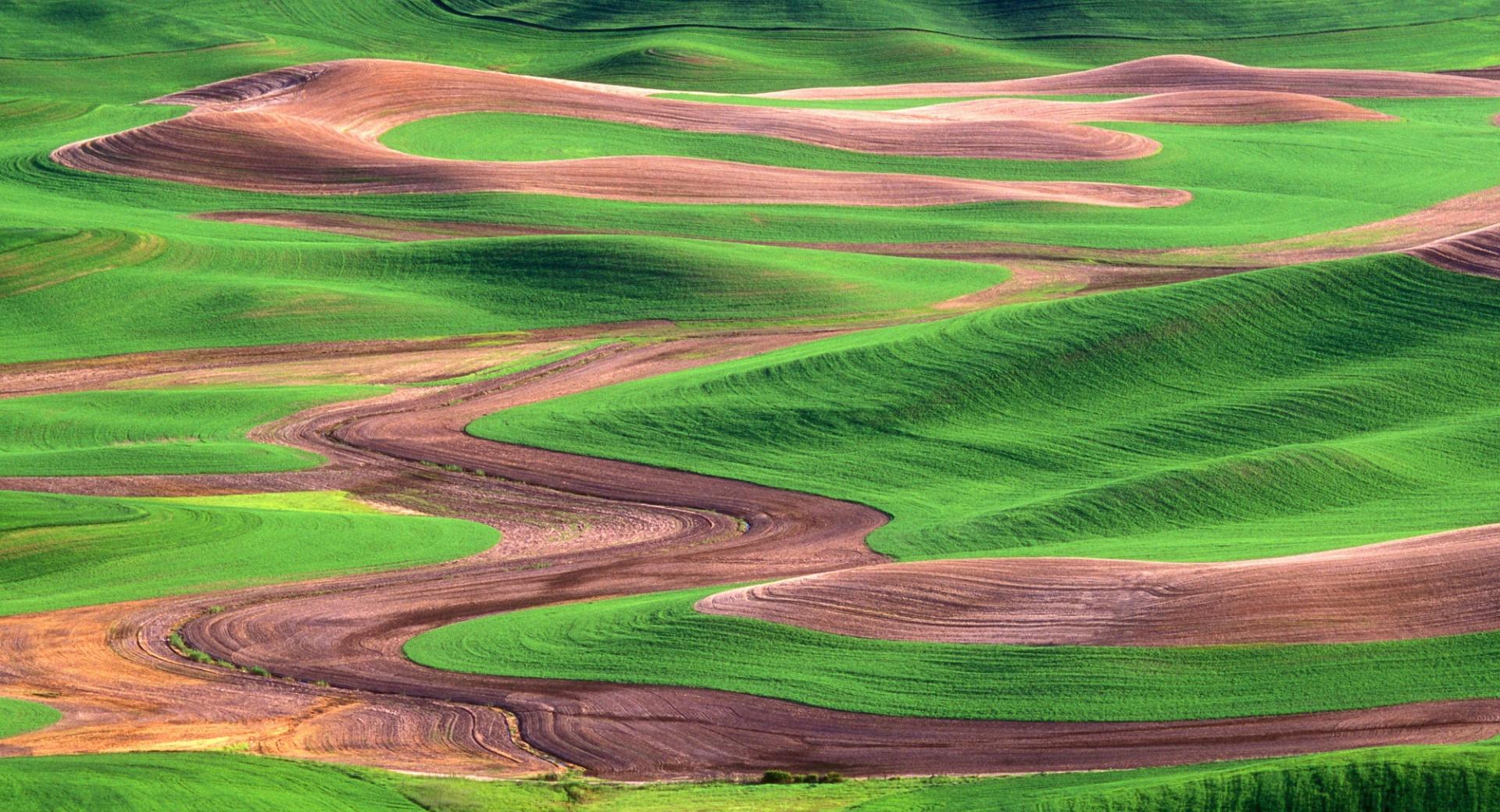 Palouse Hills From Steptoe Butte Washington at 750 x 1334 iPhone 6 size wallpapers HD quality