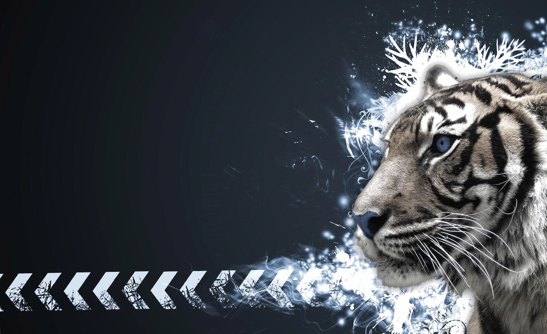 Photoshop tiger at 750 x 1334 iPhone 6 size wallpapers HD quality