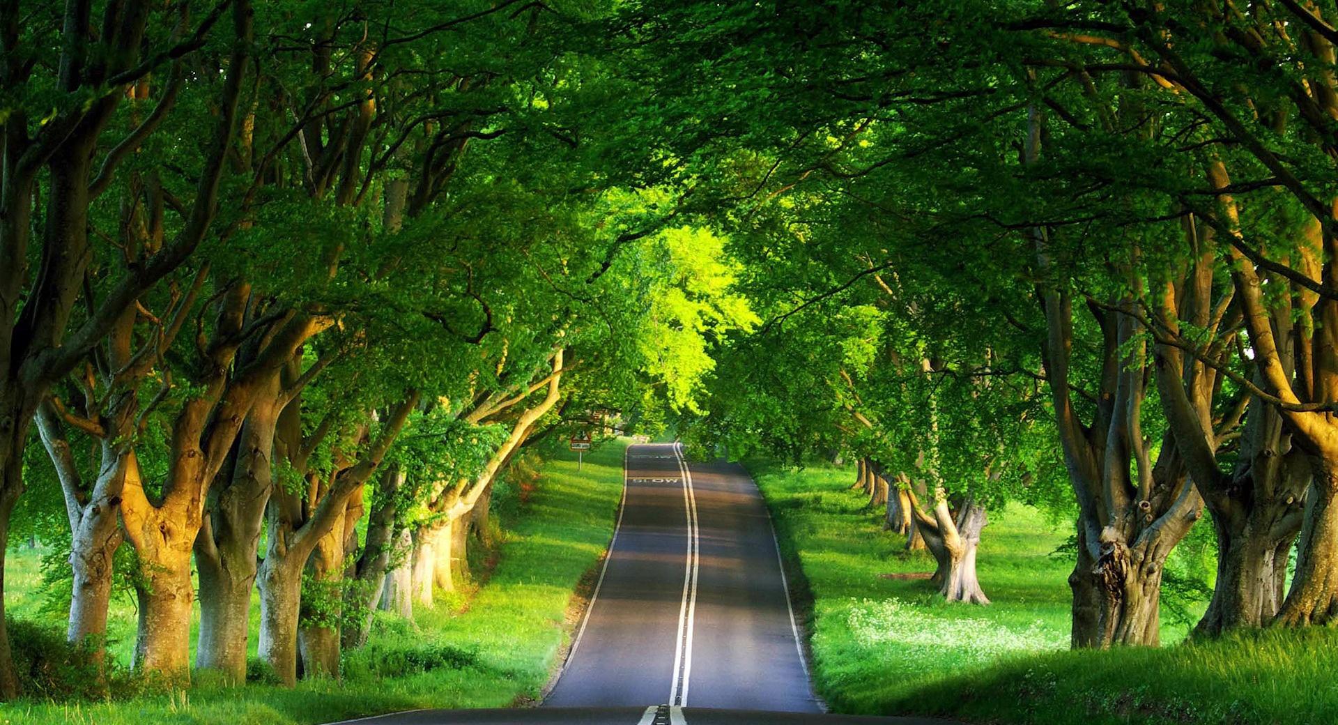 Road, Summer at 2048 x 2048 iPad size wallpapers HD quality