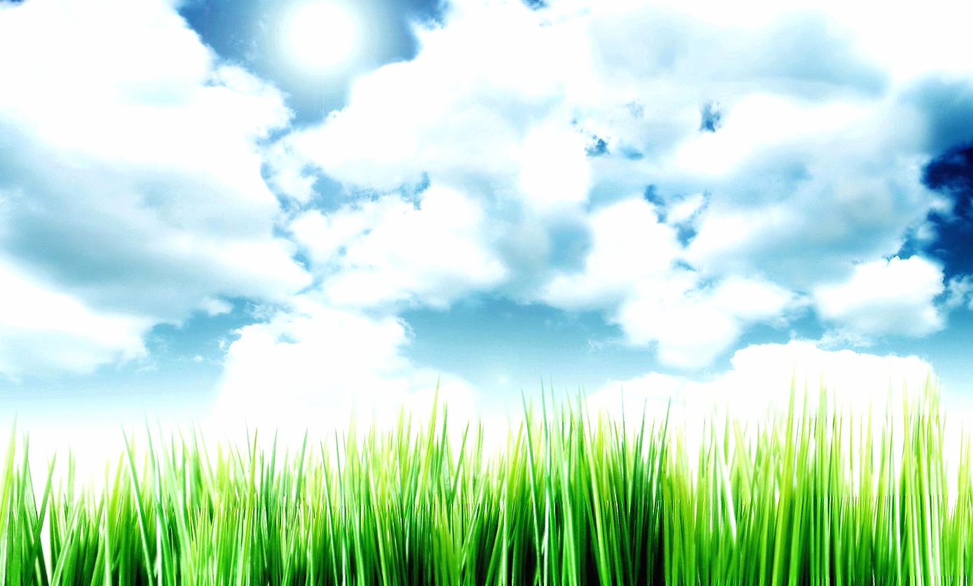 Sky and grass at 320 x 480 iPhone size wallpapers HD quality