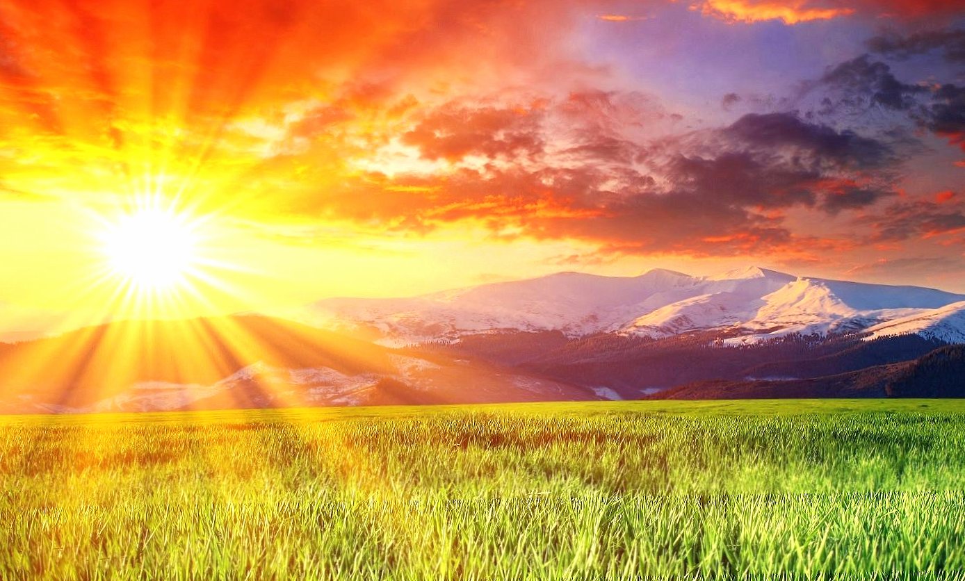 Sun grass wonderful at 750 x 1334 iPhone 6 size wallpapers HD quality
