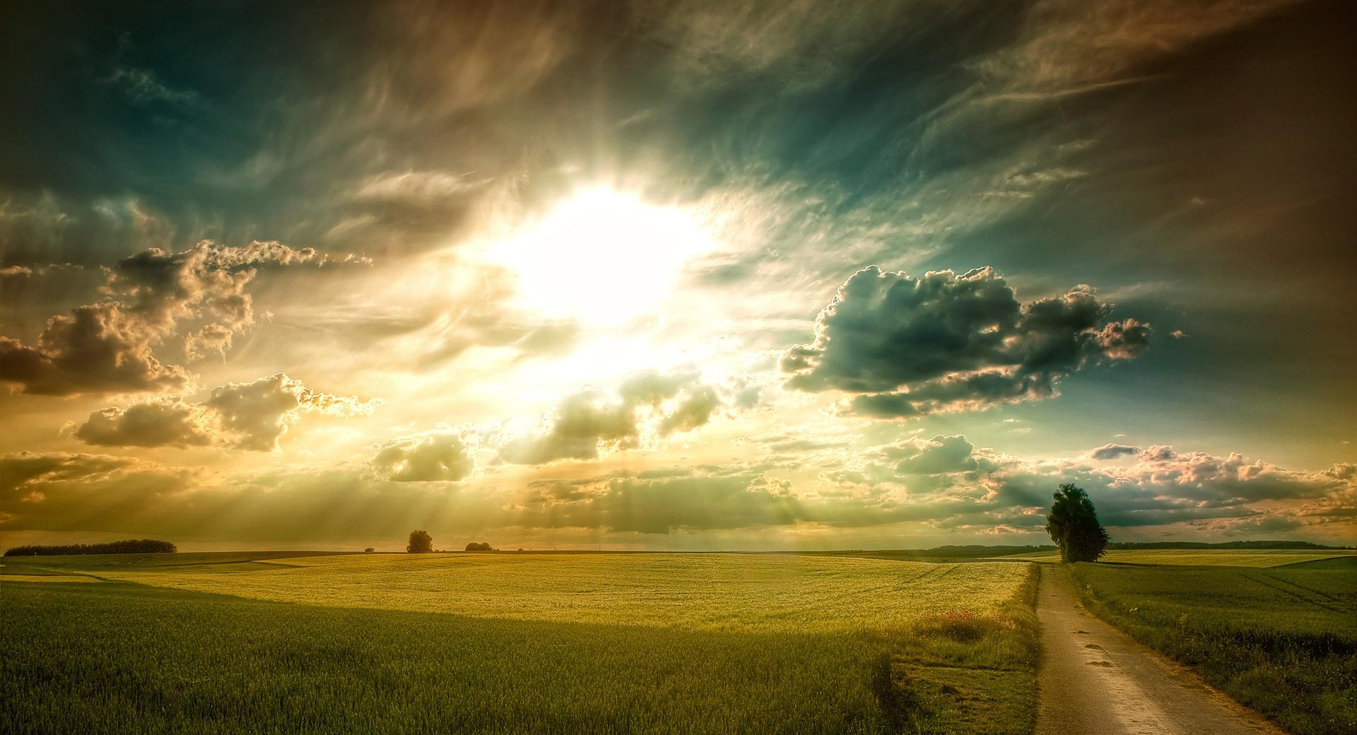 Sunny Afternoon at 750 x 1334 iPhone 6 size wallpapers HD quality