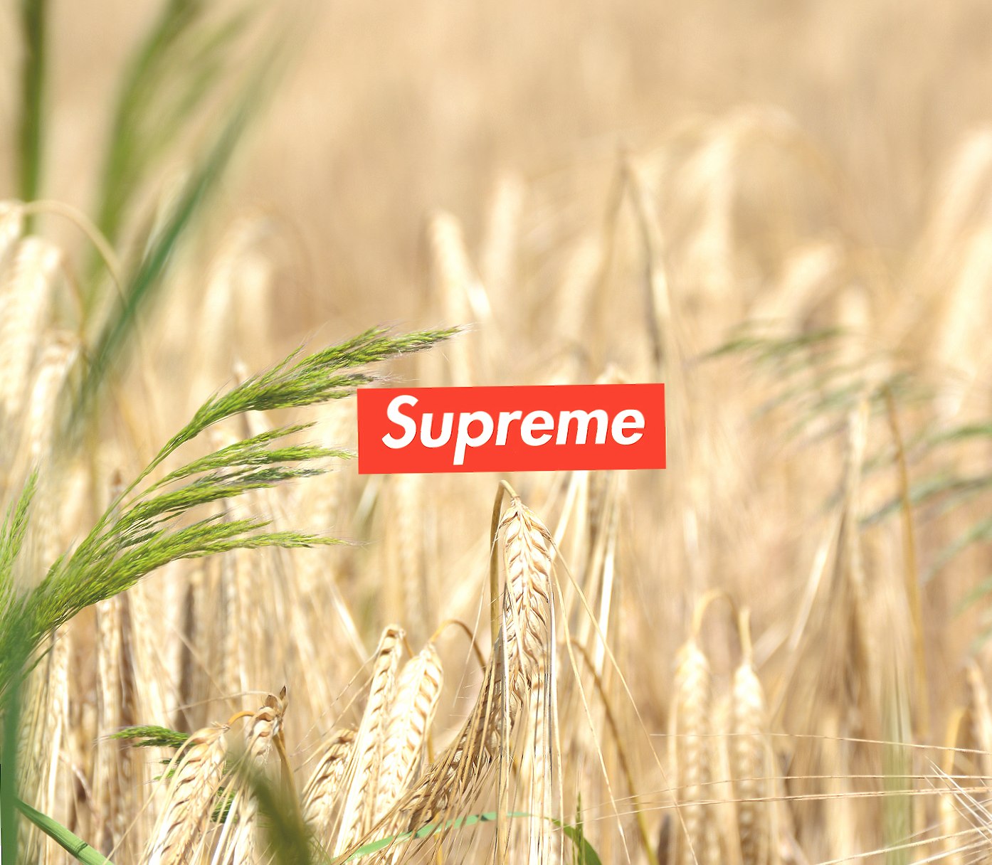 supreme nature at 750 x 1334 iPhone 6 size wallpapers HD quality