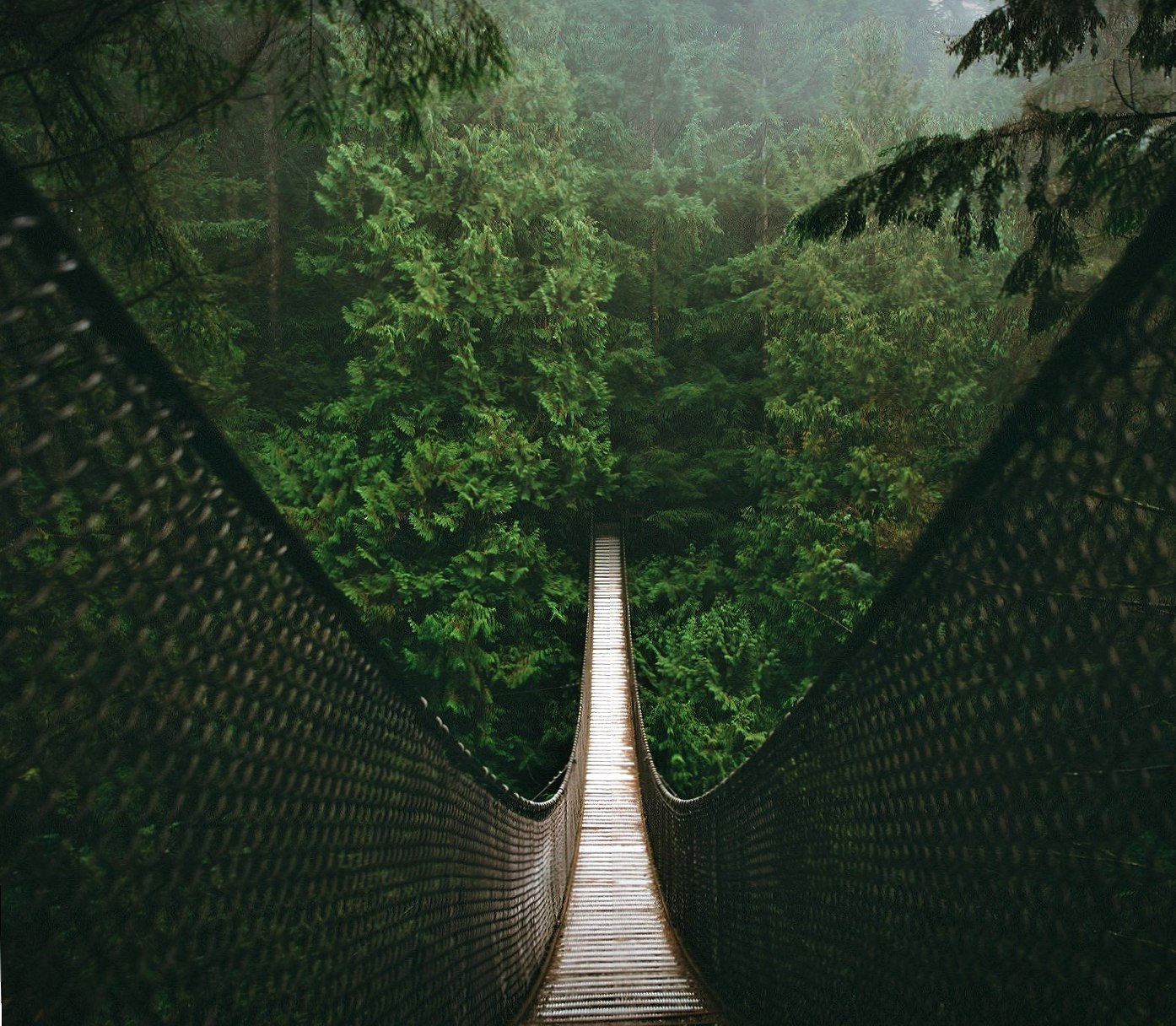 Suspension Bridge at 750 x 1334 iPhone 6 size wallpapers HD quality
